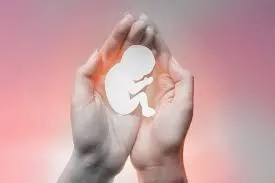 Legalização do aborto: de novo ao debate!