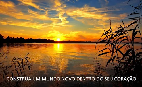 O PODER DO VERDADEIRO PERDÃO