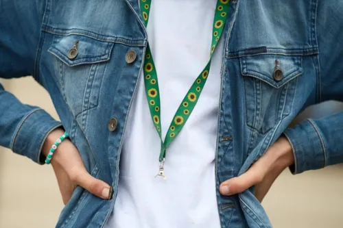 Alesc reconhece uso do Cordão de Girassol