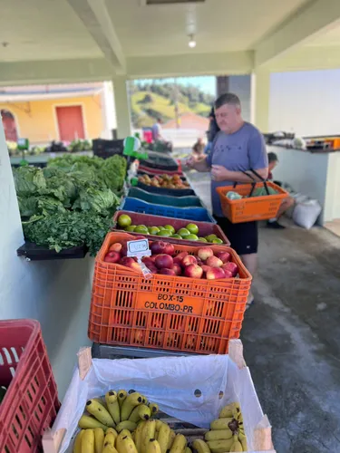 Comunidade participa de mais uma edição do Câmbio Verde em Serra Alta