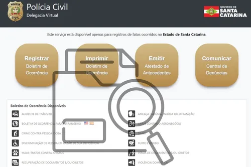 Em que casos usar a Delegacia Virtual?