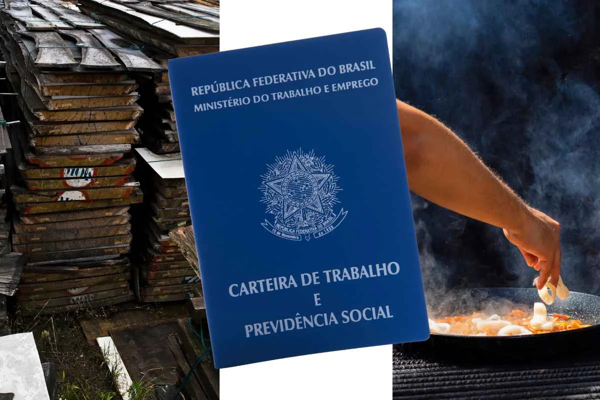 Papanduva tem mais de 30 vagas abertas
