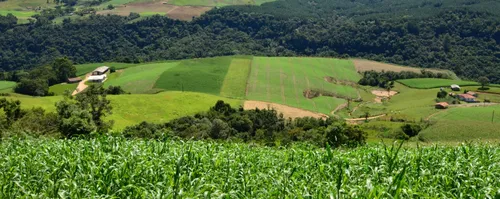Agricultores e pescadores podem apresentar projetos para receber apoio do SC Rural 2